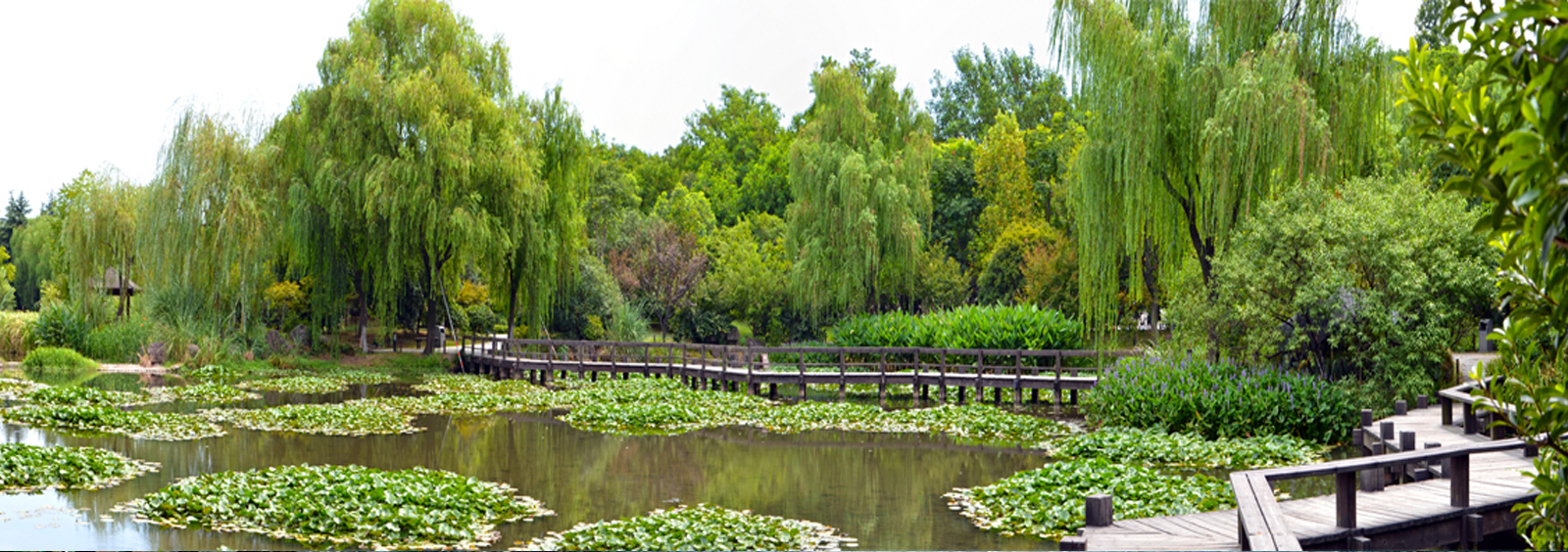 url(http://www.aokooo.com/theme/TP000163/pic/banner4.jpg)